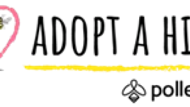 Модул 5